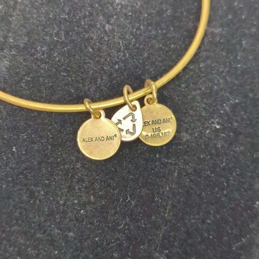 Alex & Ani Unexpected Miracles Slider Bracelet Rafaelian Gold Finish Adjustable